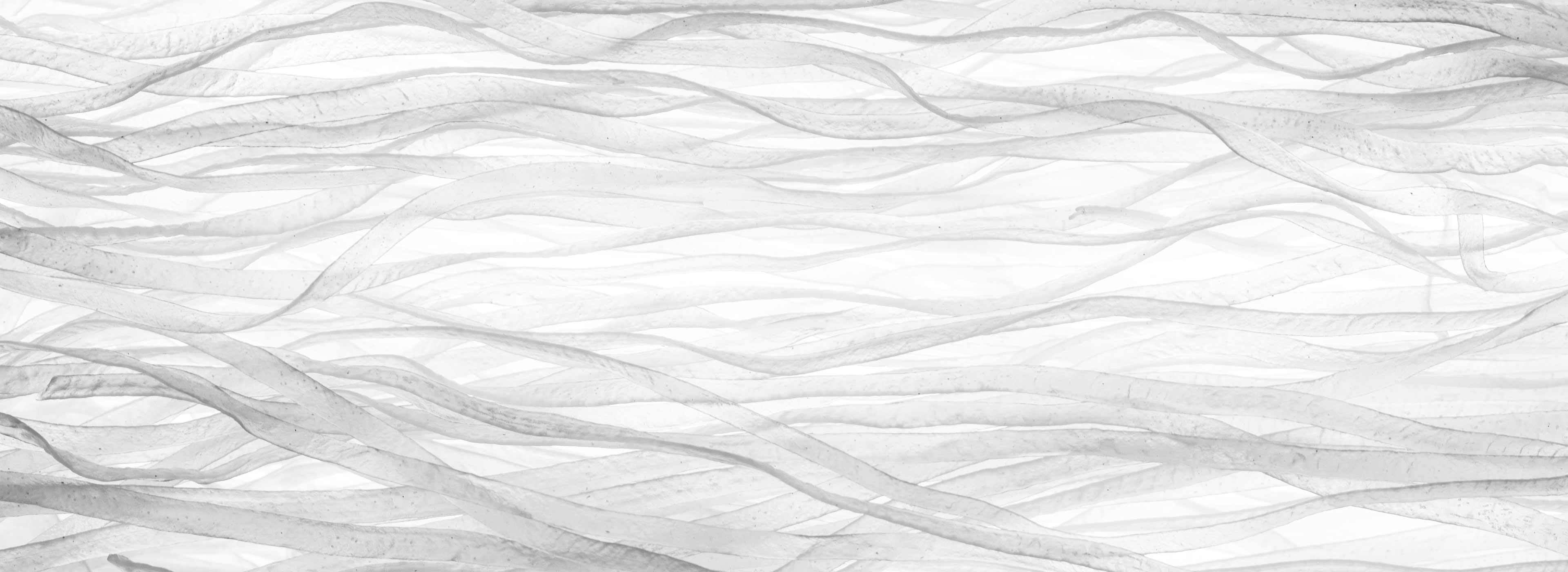 Hair Serums & Treatments