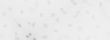 Sebum-Regulating Routine | Biologique Recherche